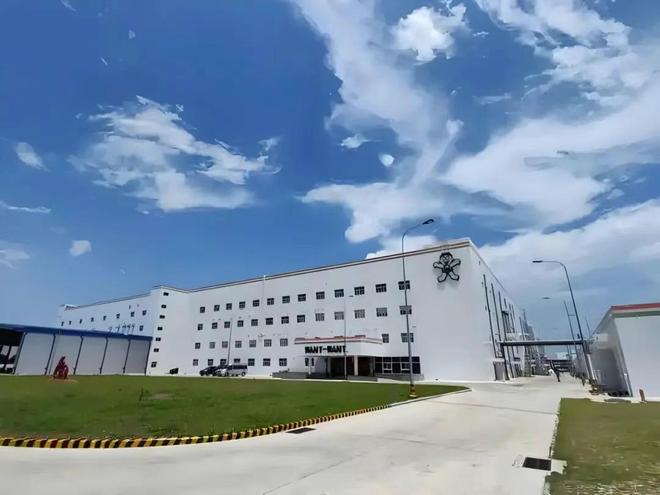味”零食靠邪修馋哭老外CQ9电子网站中国“土(图9)